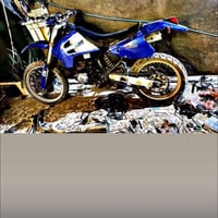 كاوسكي قفاز للبيع 07715864850