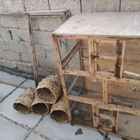 قفص • واجهة برج • حلات