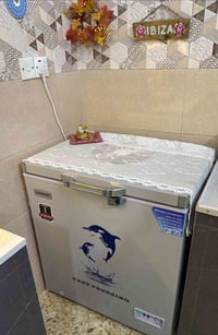 مجمدة جديدة • استخدام شهرين • شرط الفحص