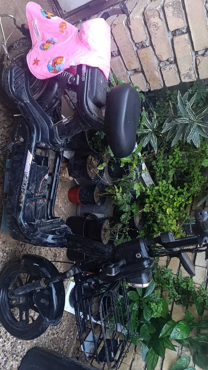 دراجه شحن يحتاج له شي بسيط ب100وبيه مجال على بيعته مكانه بلشعب


**إذا كنت صاحب هذا الإعلان وتريد حذفه لأي سبب، رجاءا أرسل رسالة إلى الدعم الفني**