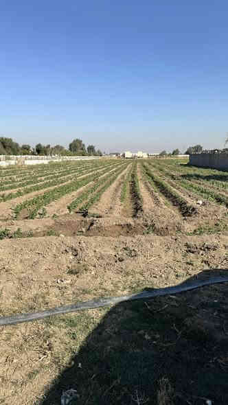 السلام عليكم دونمين موقع كلش حلو على شارعين مثل مموضح بل فديو كل خدمات متوفره وتبليط يبعد ١٠٠ متر مفروش سبيس لاستفسار اتصل 
*********** @إشارة
