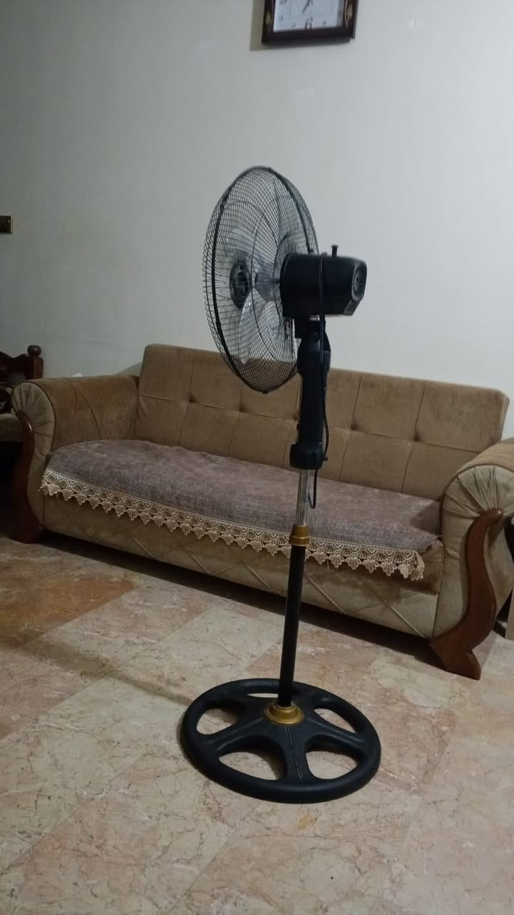 تخم خمس قطع للبيع بسعر مناسب ***********
