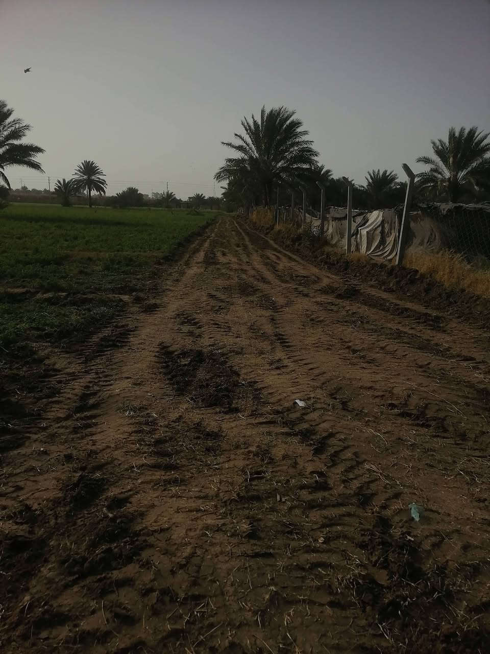 سلام عليكم ورحمة الله دونم ونص  بابل جبله فرع مصلخ ثاني قطعه يعني ٥دقايق بسوك ماء نهر  رساله  كهرباء كافه الخدمات تجي وشوف  *********** و*********** و***********
