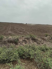 أرض زراعة • ١٠٠ دونم • الكوت المزاك