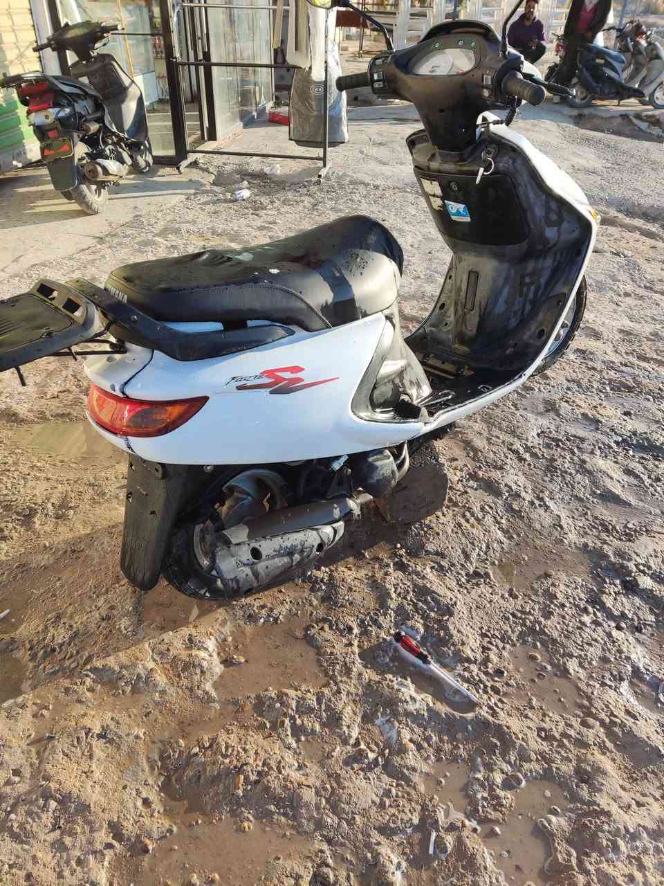 للبيع دراجه فراشه فحل مكاني نجف يم لملعب مال نجف دراجه شوفت عينك مكفولة دراجه مكينه حاويه لا مفتوحه ولا ملعوب بيها ٤٥٠ وبيها مجال ***********
