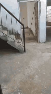 اسلام عليكم بيت للبيع سند ملك صرف مساحة200 واجهية10 نزال20 مكون من غرف2 استقبال مطبخ حمام داخلي مرافق خارجي مجاري تأسيس جديد سبتتنك جديد  
المكان الحصوة قرب جامع الرسول
السعر85وبيه مجال قليل
الاتصال*********** بي واتساب
