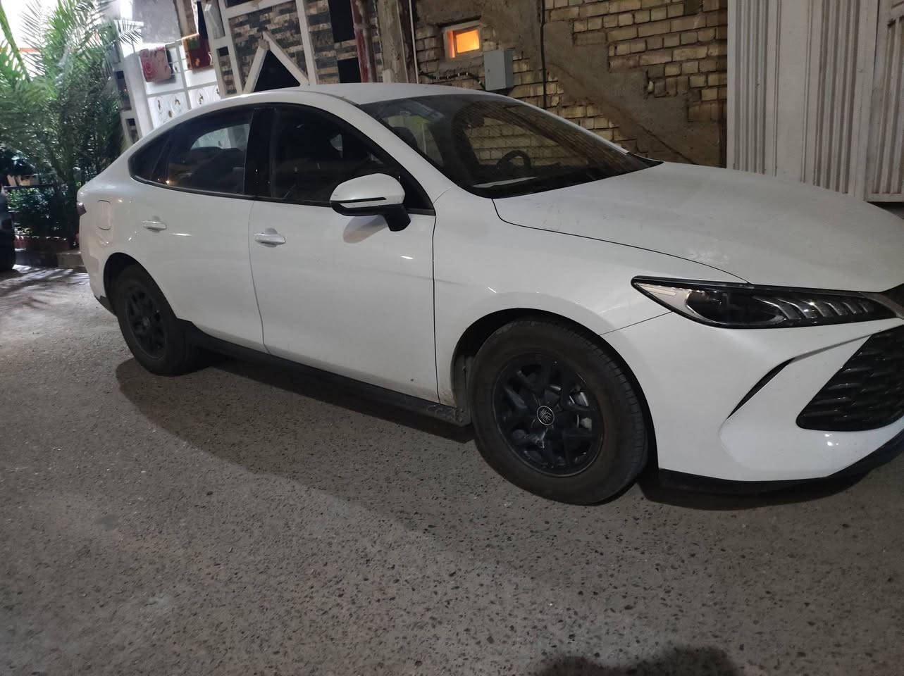 السلام عليكم
BYD 
بي واي دي كن بلص 2025 للبيع السياره كفاله عامه بوضع الشركه السياره رقم اربيل مداور او وكاله حاضر سعرها ب 20 مليون لان رقم اربيل اغله شويه اني اشتريتها ب 21 مليون ونص قبل شهر  بس احتاجيت فلوس ودابيعها 
ماشيه الكلي 20 الف
*********** واتساب
