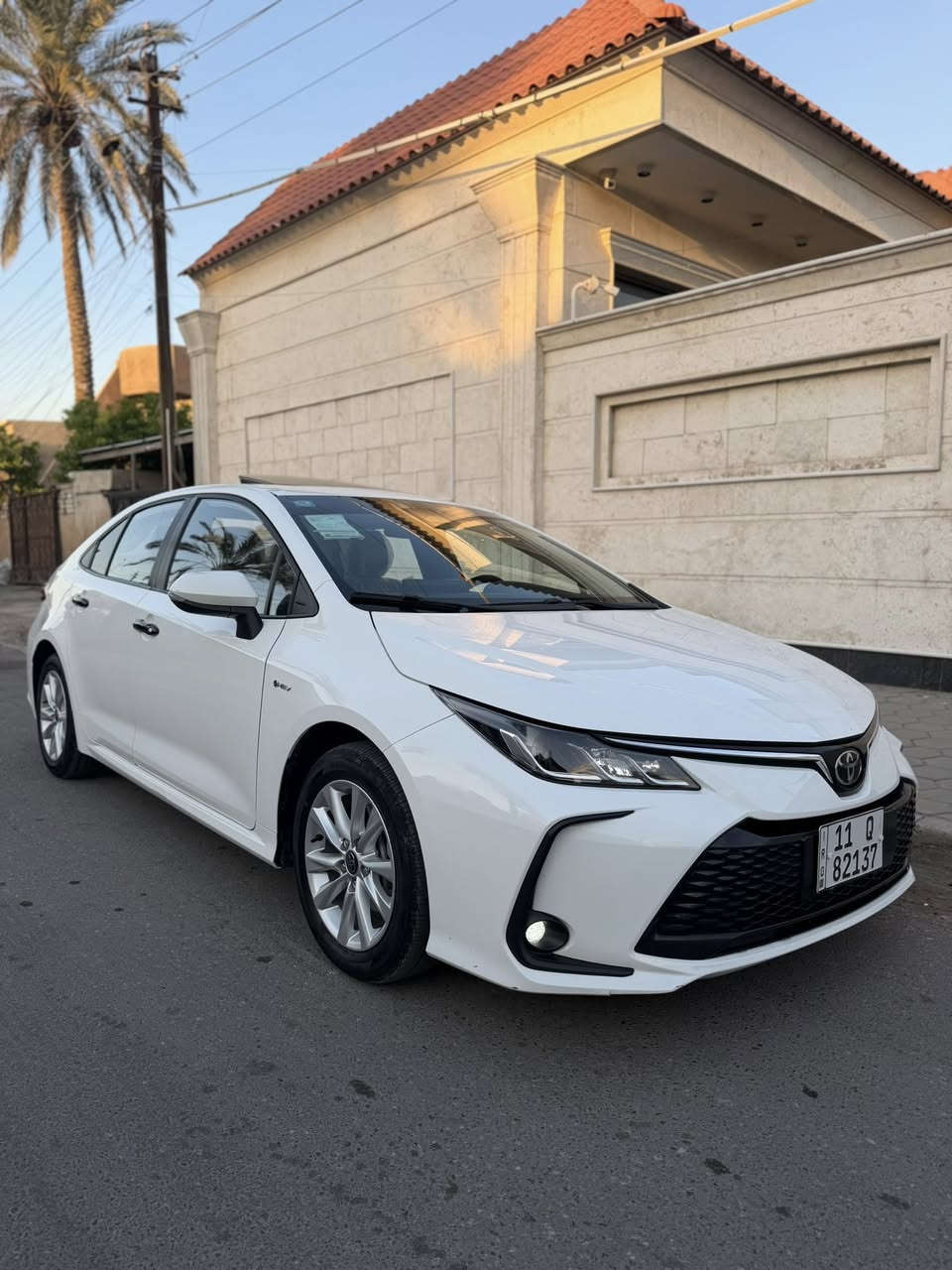 السلام عليكم 
كورلا شكل الخليجي موديل 2024 فول مواصفات 

رقم بغداد باسمي 

ماشيه 34 الف 

مكفوله كفالة عامة ما عدا رصعه كلش صغيره ومسحوبه

السعر 145 وبيها مجال بسيط  

مكاني بغداد حي الجامعة

رقمي *********** واتساب 
***********
