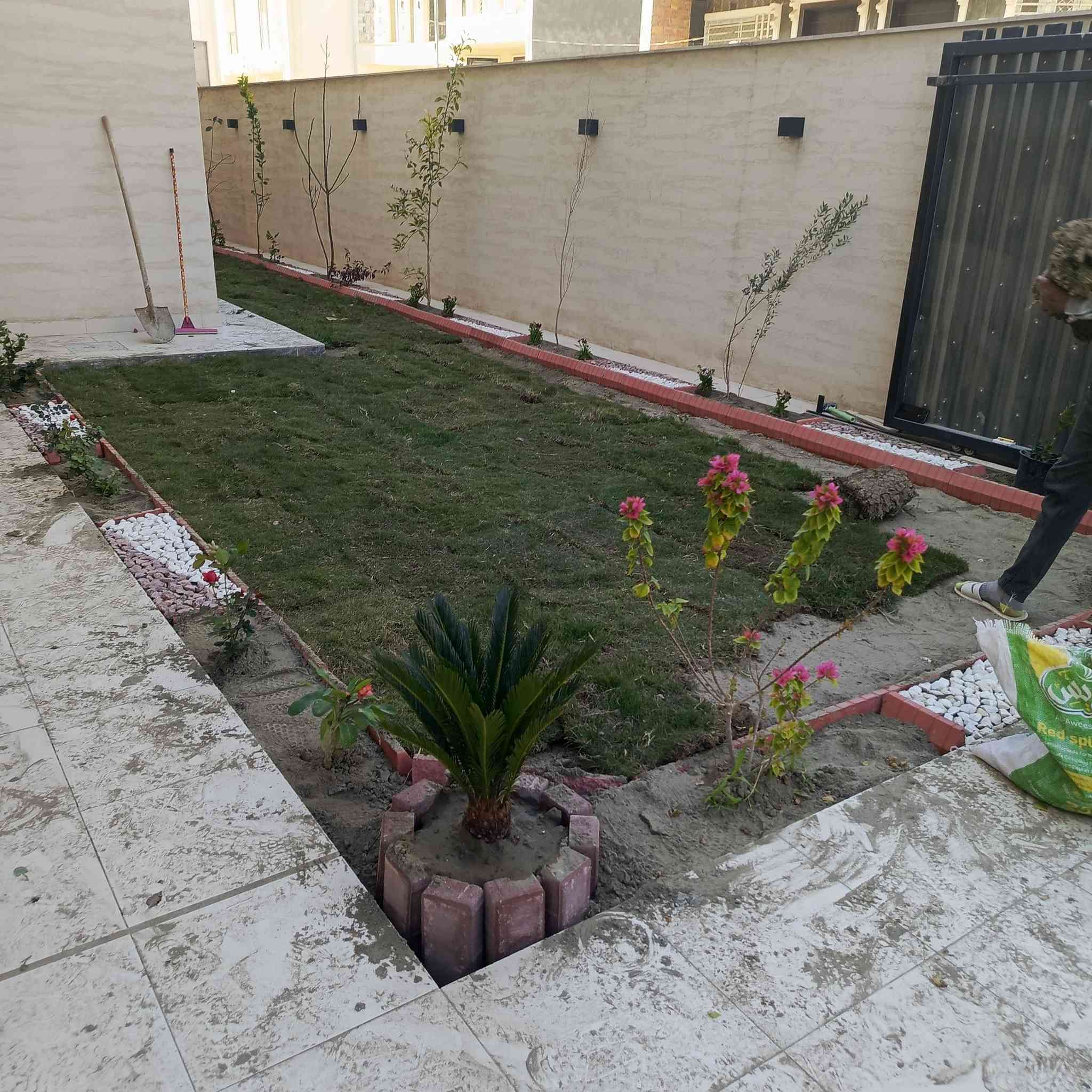 رمضان كريم 
تم بفضل الله انجاز حديقه في الحله/حي الصحه
للاتصال ***********
#ضمان العمل 5سنوات
#متابعه مجاناا 3 اشهر
#المهندس الزراعي سيد ابراهيم
