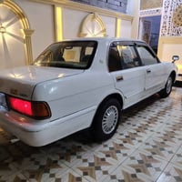 كراون الأرنب • ٩٥ • مكفول