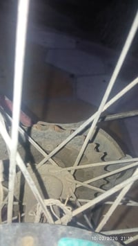 بايسكل 26 • عطلات • الحلة