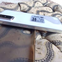 انفنكس جيتي 30 برو • نضيف • مراوس اكس بوكس