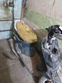 فراشة فحل • كوم حديد • سعر خاص