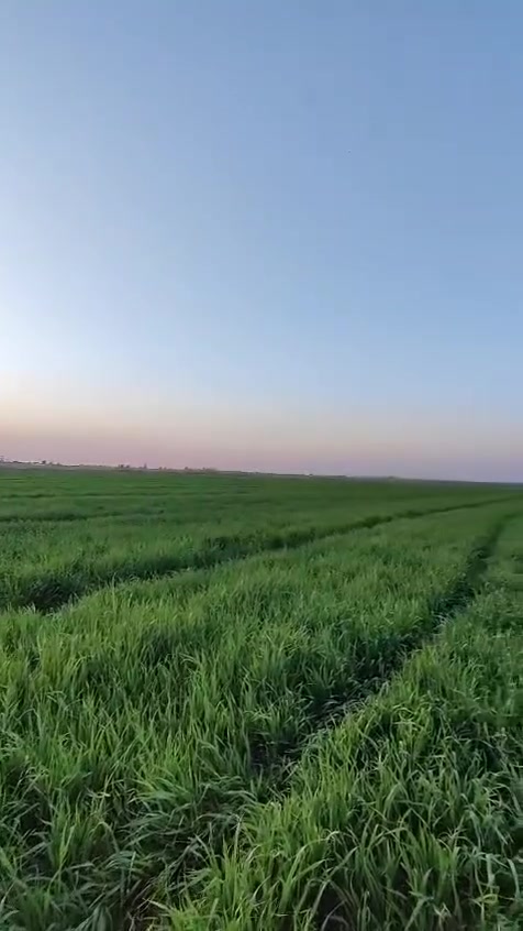 السلام عليكم قطعة ارض مساحة 10 دونم سند 25  واصلها ماء و كهرباء للبيع
***********

