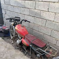 شهربان المقداديه • موديل 20 • بدون أوراق