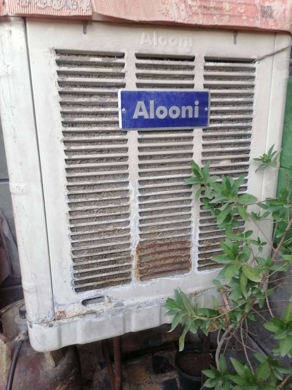 نظيفات مستعجل على بيعته مكانه بغداد


**إذا كنت صاحب هذا الإعلان وتريد حذفه لأي سبب، رجاءا أرسل رسالة إلى الدعم الفني**