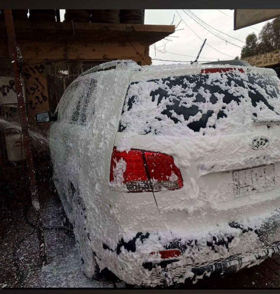 سلام عليكم
بیع او مراوس بستاركس حسب القناعه

سورنتو مودیل ٢٠١٢  السيارةمصبوغه عام  رقم  نينوئ  کیر محرک شرط تجي تشوف وتفحص وتقتنع   شرط فحص تخم تایرات زينات صدر زين  سیارە  ٧راکب محرک ٢٤٠٠ دوش السعر 120وبيها مجال   الخاص مفتوح‏‪ 
والموشراي خلي يعبر المنشور
‏‪***********‬‏
