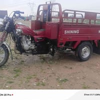 ستوته • ٢٠٢٣ • كله شرط