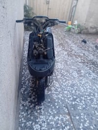 بطه • شاصي لحيم • نجف