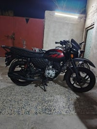 بوكسر • جبلي • ٢٠٢٣