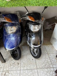 ياباني • مكفولة • كوت زين القوس