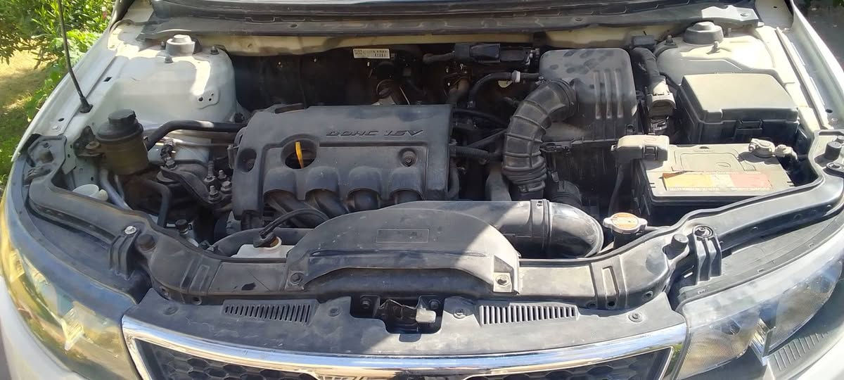 سلام عليكم شباب كيه سيراتو موديل ١٢  السعر 122$ .   السياره فول مواصفات بانو راما معه الريموت مكان السياره بغداد قضاء الطارمية منطقه الزور الخاص مفتوح


**إذا كنت صاحب هذا الإعلان وتريد حذفه لأي سبب، رجاءا أرسل رسالة إلى الدعم الفني**