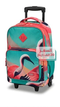 جنط • الروضه • متوسطة