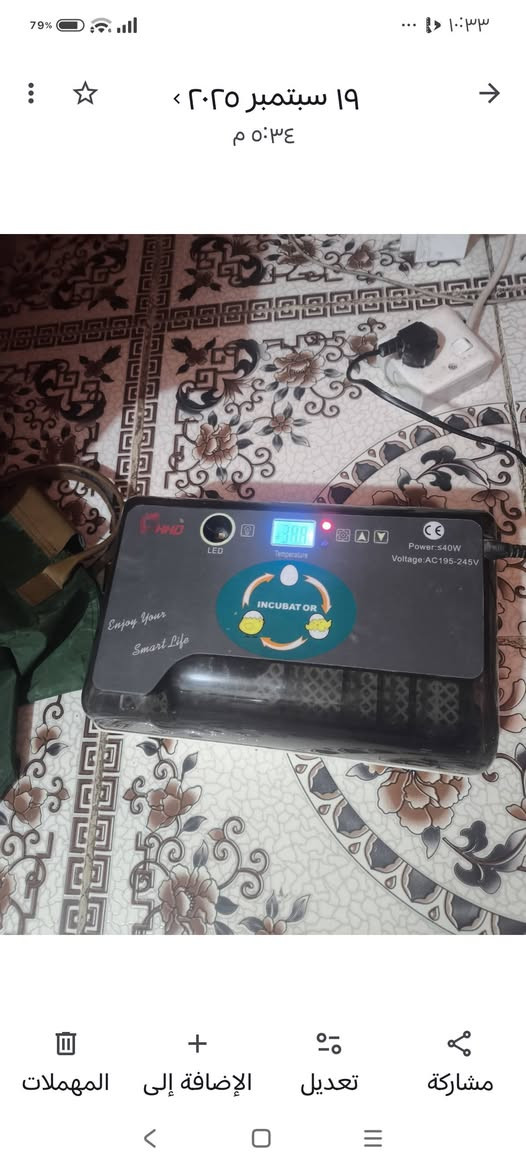 السلام عليكم
فقاس للبيع مكاني بابل حي العسكري سعر 40


**إذا كنت صاحب هذا الإعلان وتريد حذفه لأي سبب، رجاءا أرسل رسالة إلى الدعم الفني**