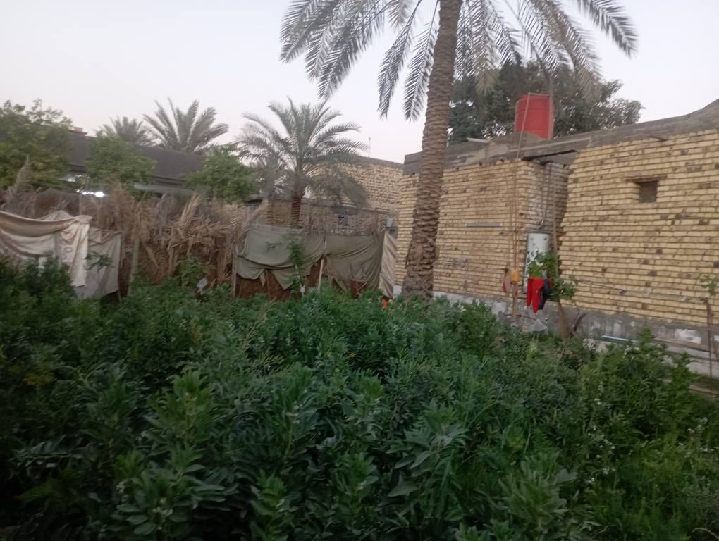 سلام عليكم يتوفر قطع ارض مساحتها 420متر جنس الأرض ملك صرف زراعي حق التصرف موقع مميز قرب أثار بابل مشيد عليهى هيكل مسقف مئسس ماء كهرباء مجاري كافت الخدمات متوفره الي يحب يتواصل رقم الهاتف وتساب *********** حلة, بابل
