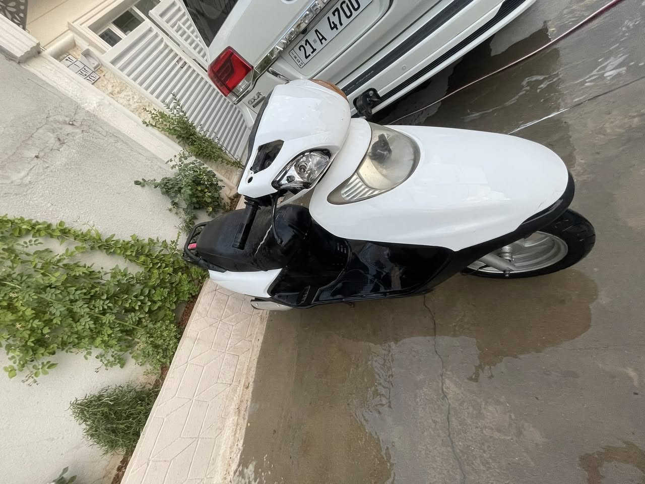 دراجة للبيع سبيسي ماليزي
كابريتر جديد
قايش كلجات كفرات كهربائيات كلها شغاله

بس مكينه يحتاجلها تجفيت
مكاني سليمانيه


**إذا كنت صاحب هذا الإعلان وتريد حذفه لأي سبب، رجاءا أرسل رسالة إلى الدعم الفني**