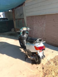 دراجة سبيسي • ياباني • بعقوبة التحرير