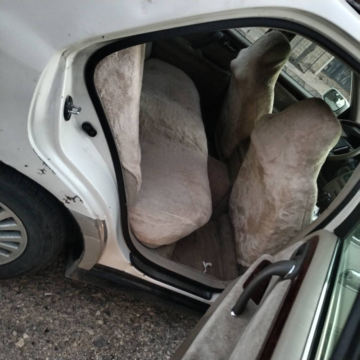 ملێکە   بڕاوە   لۆک    سلاێت   داروبەرد  بەشەرت   ڤڤتی  ڕەقم  یک  نەبو  نەتەوێ  ماڵێ  دۆس  لەدەربنم  ***********نرخی 42گڵا  همو گیانێ  لۆک دار بنديهكان, السليمانية
