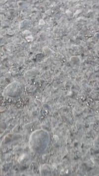 دايون خفاش • ٢٠٠ سي سي • خمسة كير