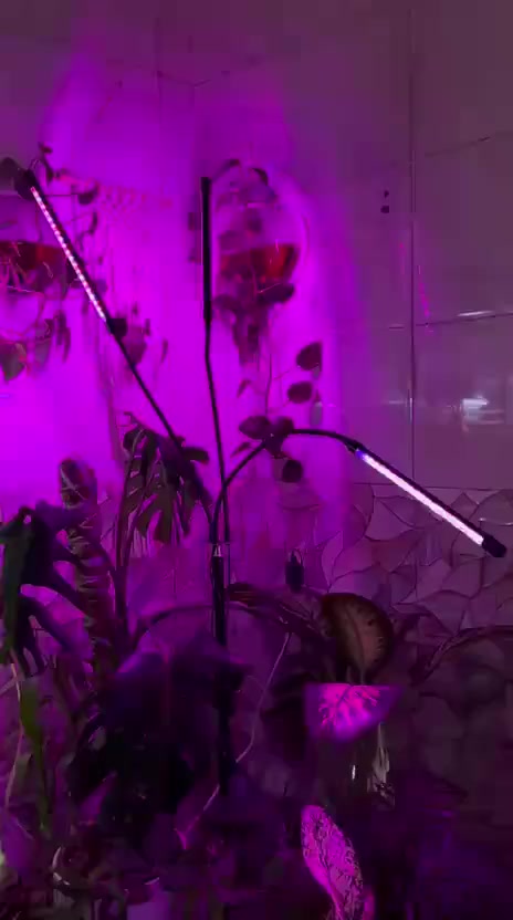 السلام عليكم متابعينا 🤍.
انارة مخصصة لتحفيز نمو النباتات الداخلية 🪴🪴🌷
 
اللون الاحمر يساهم في تعزيز النموا الطبيعي والازدهار🌷🌷🌼🌼

الازرق يساعد على نموا الجذور والاوراق وتوفير الكلوروفيل🪴🪴🍀🍀

الاحمر & الازرق معاً يخرج لون بنفسجي
وهو يساعد ويسرع في النموا الطبيعي الكامل للنبات 🌲🌲🌳☘️🍀🍀🍄

ملاحظة مهمة ( كل قطعة  تحتوي على جهاز تحكم عن بعد ريمونت كونترول وكذلك محولة خاصة بالجهاز )
ثنائية قراصة ريمونت كونترول 15 الف 
ثلاثية ريمونت كونترول مع ستناد20الف 
رباعية ريمونت كونترول مع ستاند 25 الف 
🍀🍀🍀☘️🌳🌳🌳🌲🪴🪴🍄🍄🌷🌷

📍 متوفر توصيل لجميع محافظات العراق 🚗 🚗 
📍 العنوان:بابل/ محاويل.
📍 للحجز والاستفسار يرجى مراسله الصفحه او مراسلتنا على واتساب من خلال الرقم:
***********
