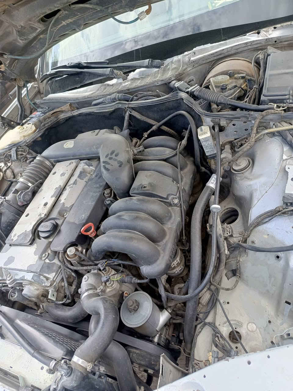 السلام عليكم اخوني عندي هاي السياره جانبو مالسدس الموديل 91 رقم بغداد مشروع وطني تحويل ثاني يوم ماناقصها شي كير اومكينه اوتبريد جاهزه اترايك وين ماتريد متوازي علا بيعها 80 اوبي مجال للطيبين مكانها صقلاويه رقمي *********** الثاني *********** الشراي حياه الله
