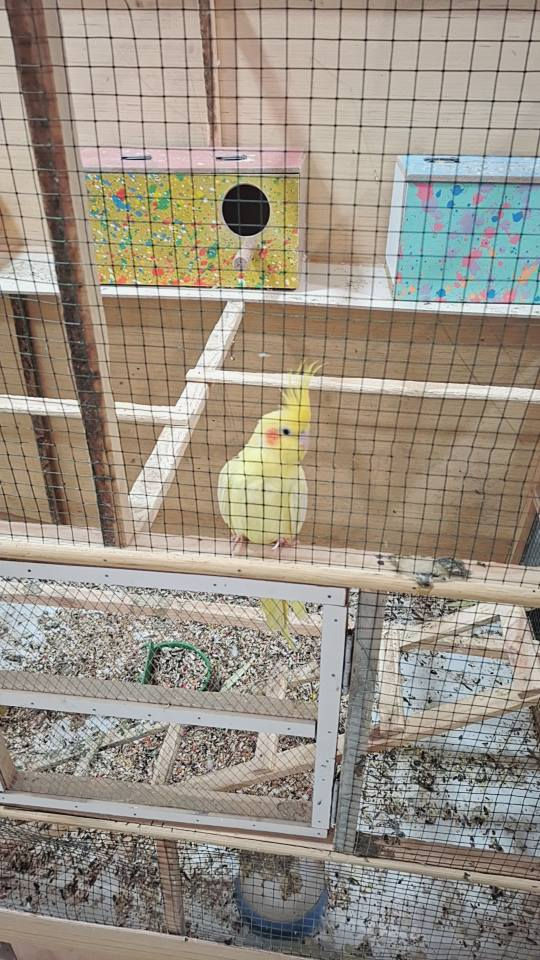 *********** ابو الخصيب, البصرة
