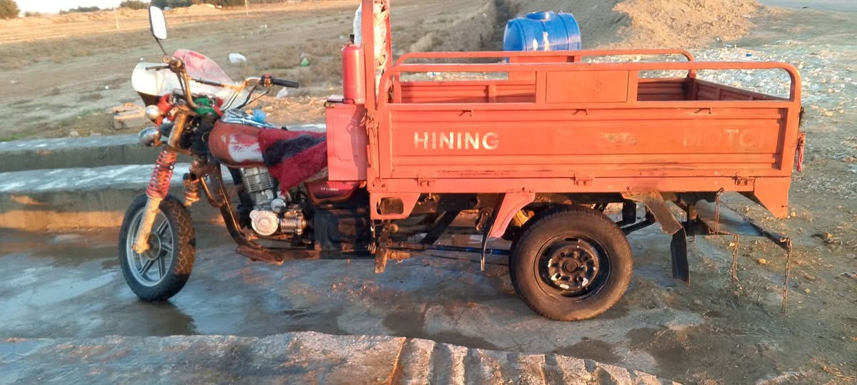 سلام عليكم ستوته للبيع مكان شوملي  سعر الستوته 800 مكان شوملي ستوته مال جناي رقم الهاتف ***********
