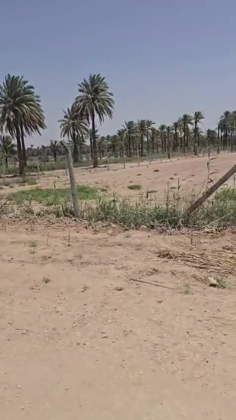 السلام عليكم 
دونم للبيع طابو ملك صرف تحويل مباشر العنوان شارع 100 الرابط بزل حجي علي شارع الوائلي السعر 145 بي مجال للاستفسار الاتصال 
***********
***********
أو زياره مكتب 🛣️ السور الامين شارع 100 قرب مدرسة الطفوف
