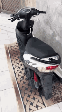 ماكس عدلة 49 مفتوحة مرة وحدة ولفات وناعمة لمكينة خرسة بشكل كلشي شغال اشاير كهرباءيات هورن هندر سلف نكرة وحدة منل صبح دبلات إمامي خلفي شغال دراجة نضيفة بشكل  وكالة من كلشي شلعة ومعدل بل مشي مكفولة مراوس ب يراني محرب نضيفة نامة أوراق حتلو فرق قليل لو سعر 700مجال قليل كلش مكاني أبو لخصيب حمدان ***********
