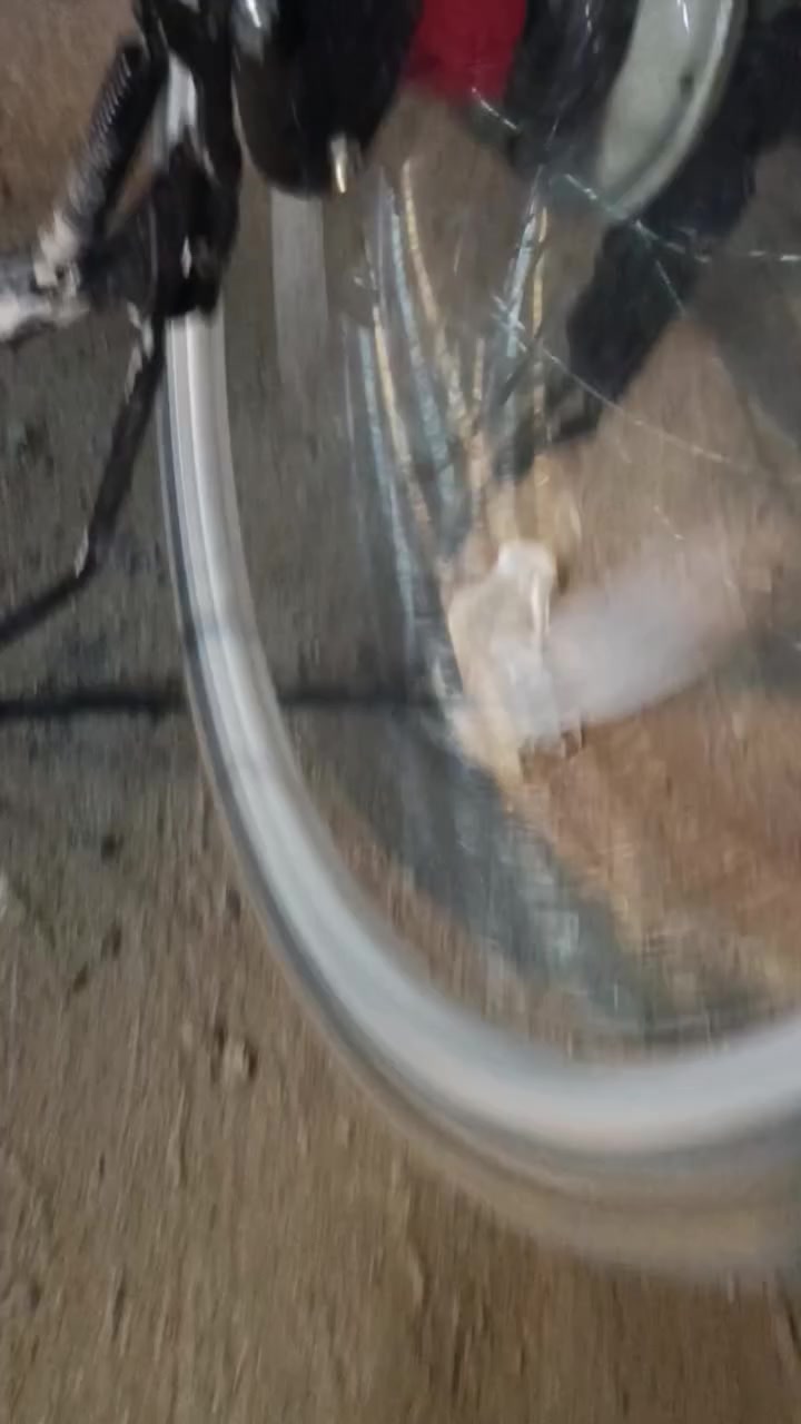 سلام عليكم  بايسكل للبيع صالة شهرين من نزلتة رايدة 180وبي مجال لشراي مكاني نداء شارع كفيل


**إذا كنت صاحب هذا الإعلان وتريد حذفه لأي سبب، رجاءا أرسل رسالة إلى الدعم الفني**