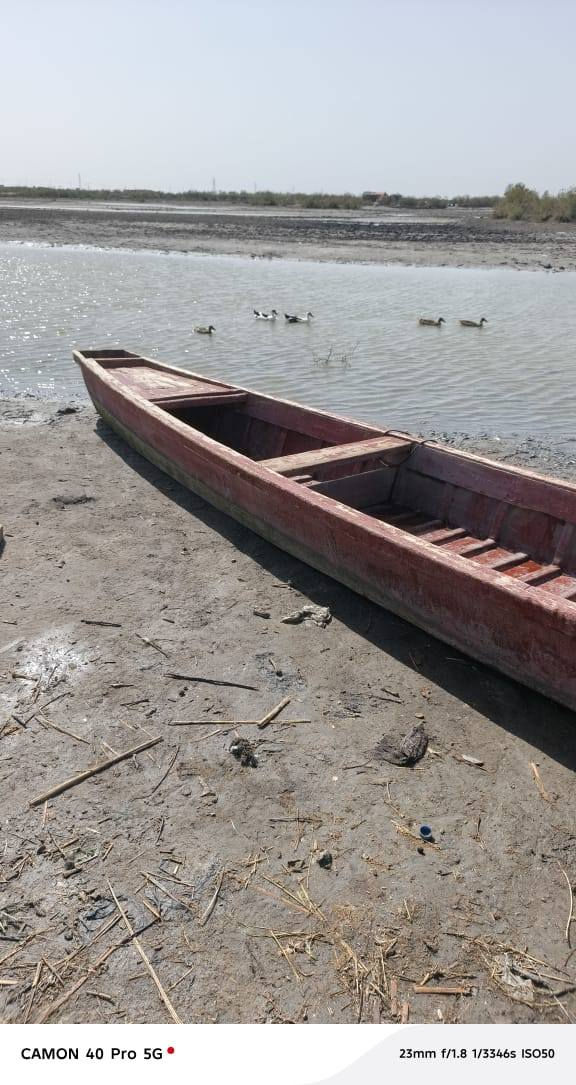 السلام عليكم بلم للبيع العنوان قضاء بصره مدينه الصوره السعر 650 يريد يخابرني ***********
***********
