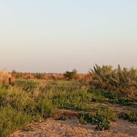 دونم ونص • طريق الحمزة عالشط • مسيج كهرباء