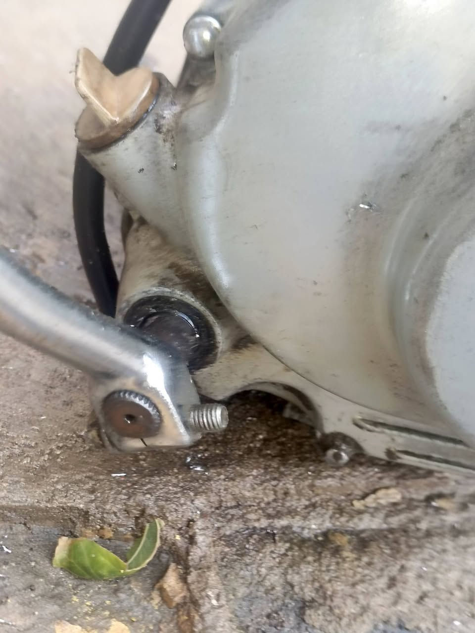 سلام عليكم  محرك مال بصره مال  ما مفحوص ولا شي  60 وبيه مجال  نضيف


**إذا كنت صاحب هذا الإعلان وتريد حذفه لأي سبب، رجاءا أرسل رسالة إلى الدعم الفني**