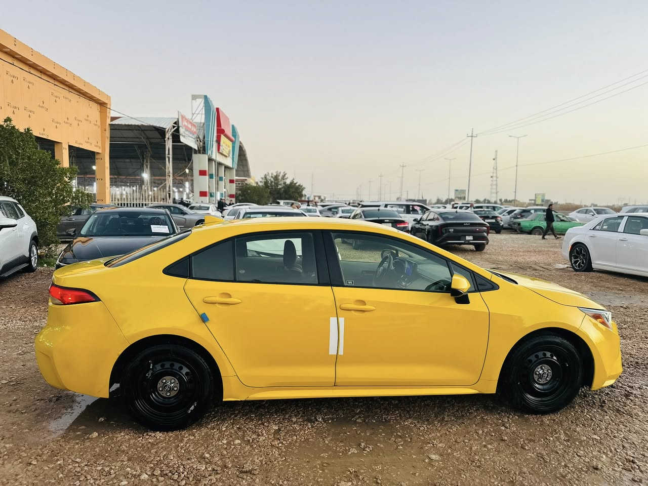 كورلا موديل 2023مرقم اجرة مثنى بااسمي
تحويل مباشر الضرر دعاميةخلفية فقط

رقم شاصي مرفق مع المنشور

السعر١٥٤بيع نقدا فقط السماوة الرميثة معرض احمد ال شمران ***********
