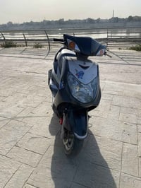 سكنس فحل • نوزل كوري • جديدة لوك