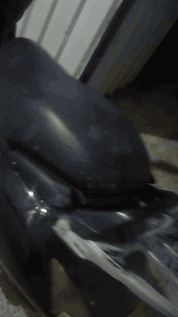 سلام عليكم دراجه سويسره بيهه ملاحضات قليله كفرات بلاديه كهربائيات كلهه شغاله مكينتهه ناعمه خير من الله الشراي يتصل ***********
