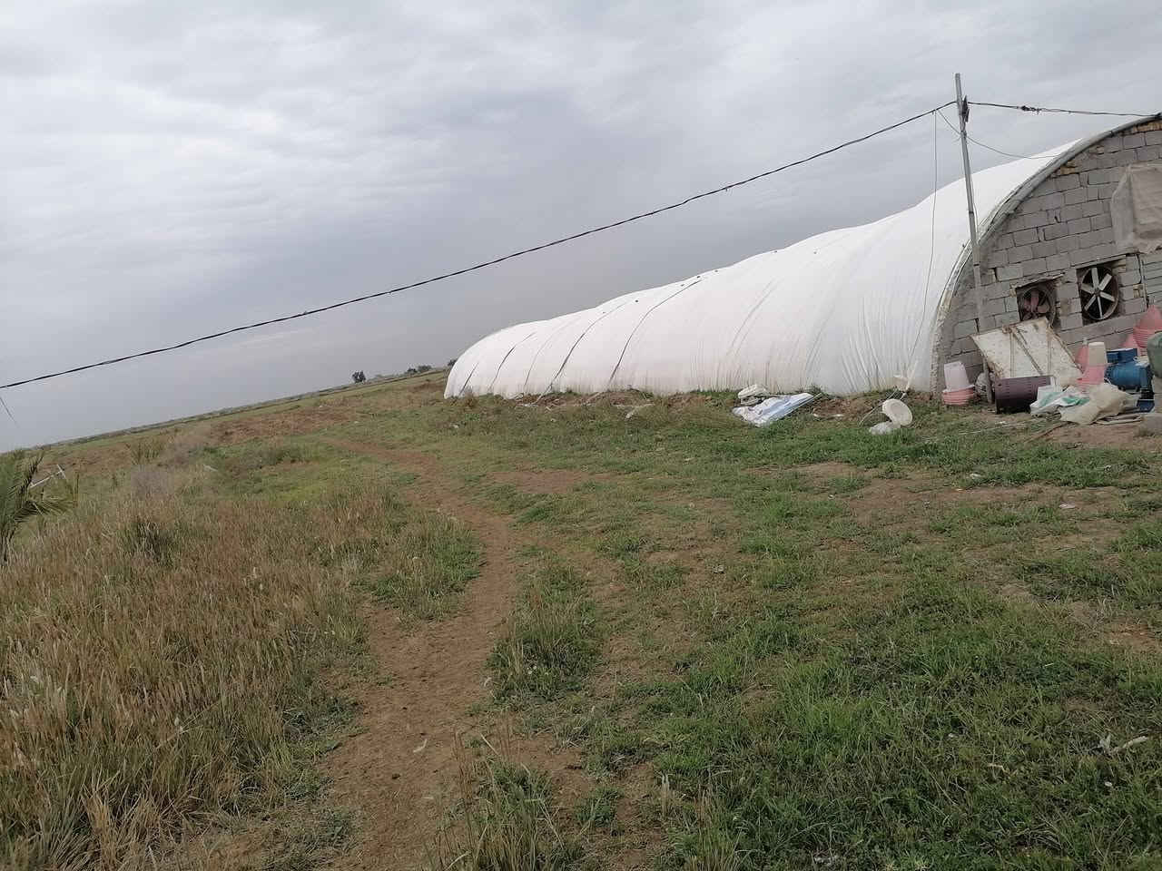 سلام عليكم ارض زراعيه لبيع تريد هيه والحقل تريد بس ارض عادي كافت الخدمات ماء اساله كهرباء خطين وطني  شارع رسمي تبعد عن الولايه ٥دائق خابر ودلل *********** الموقع ع طريق بعير
