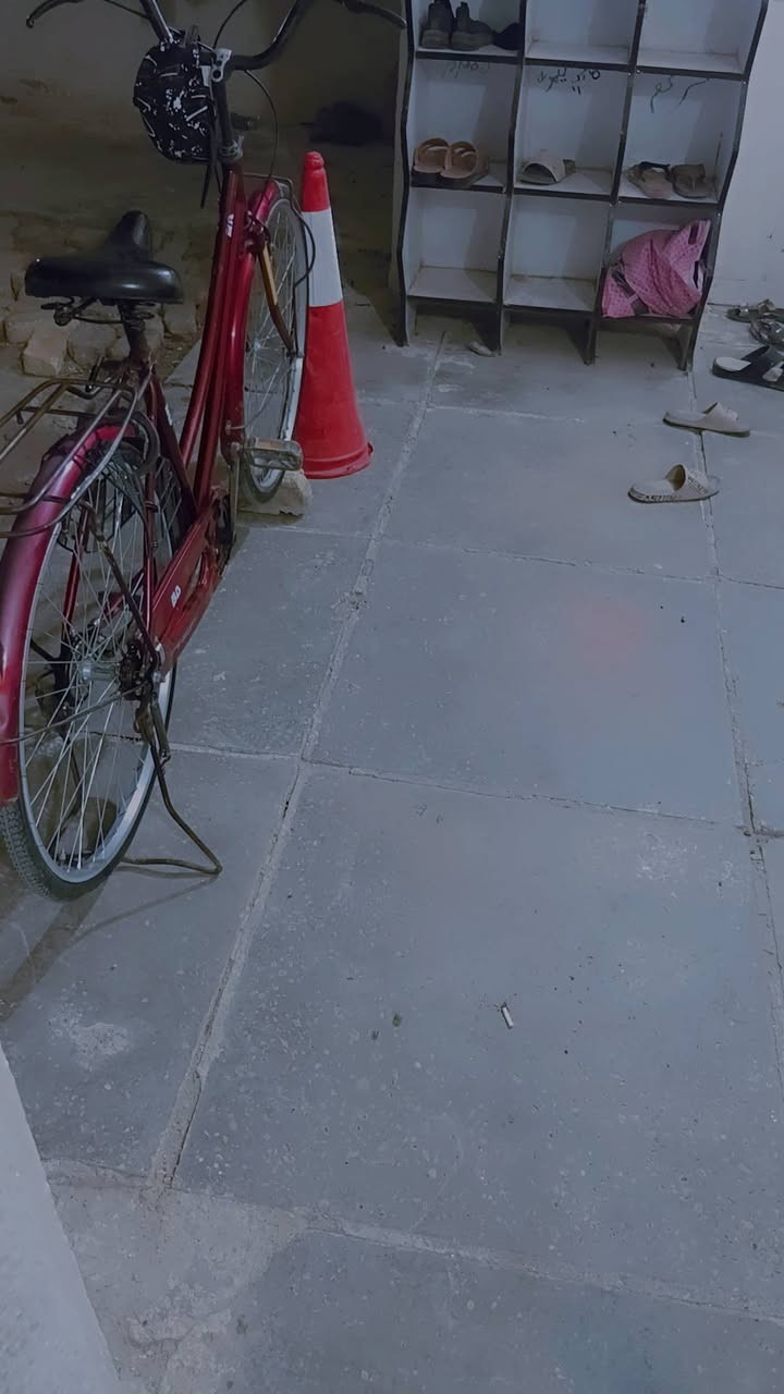 ٨٥     ٢٦


**إذا كنت صاحب هذا الإعلان وتريد حذفه لأي سبب، رجاءا أرسل رسالة إلى الدعم الفني**