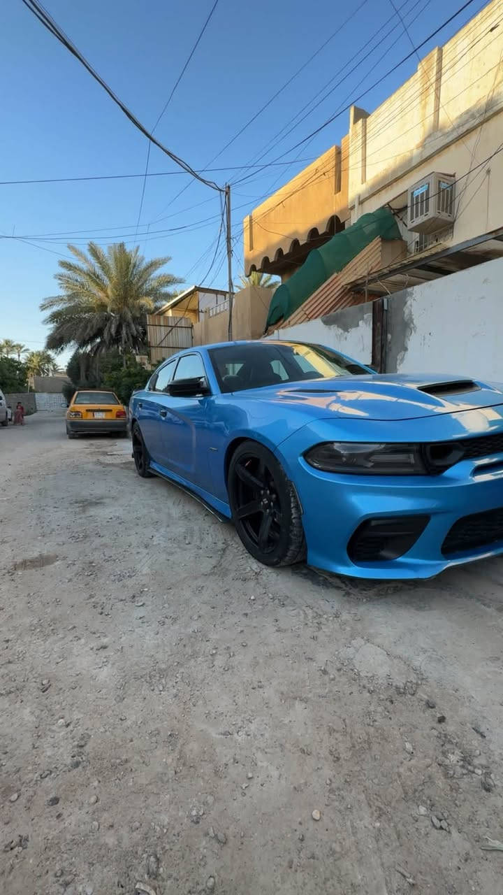 جالجر 💎 RT 2016  5700 لون المميز💎
ماشيه 50 ميل حقيقي ع فحص ماكو هيج ممشه بهيج موديل قله كلش لتقارنهه بلمهجوم سياره جديده ومناقصهه شي تاخذهه تتونس بيه قوه وطرب  كامله مكمله سياره 

مواصفات RT💎
كشنات جلد حار بارد 
 نضام لسبورت 
نظام سوبر تراك باك
كشنات اماميه كهرباء 
خزن ميموري 
حساسات خلفيه 
رادارات جانبيه 
كامره خلفيه 
سماعات الباين 

سياره عليهه كت تحديث  وايد بدي  تطبيك وصبغ شركه  بنيد ودعاميات فقط محدث … بنيدهه اصلي موجود  حادث سياره فقط بيبان ثنين عكس سايق بدون دواخل بدون ايرباك  تبديل بيبان ثنين بلاديات لباقي كفاله  عليهه ويل نجمه  وعليهه كت لحايه كامل   من شنايزر ودفيوز وايد بدي وسبايدر وايد بدي. 
تبريدهه ثلج سبيرهه منازل رقم بغداد انكليزي تحويل مباشر عنوان بغداد اعظميه  سعر سياره 198وبيه مجال شي قليل ***********
