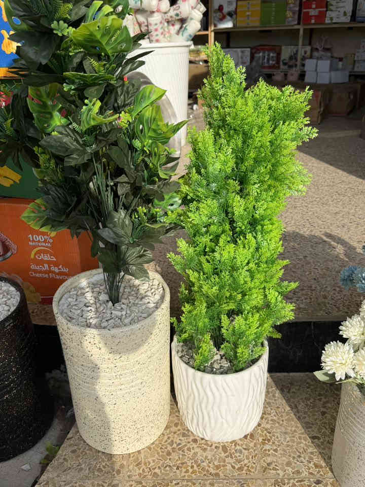 اللهم صل على محمد وآل محمد
#جديد
السلام عليكم ورحمة الله وبركاته
،  إلى زباءننا الكِرام، كل مايحتاجو المنزل متوفر 

*مكان المحل ناحيت الشوره بظهر انفوس  قرب صيدلية محمد الخلف🏥

📞***********
